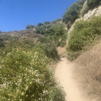 Griffith Park - Parks Near Me - Los Angeles, California Griffith Park - Parks Near Me - Los Angeles, California