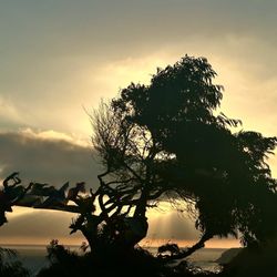 Cabrillo Beach - Scenery
