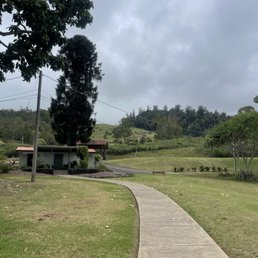 Grounds