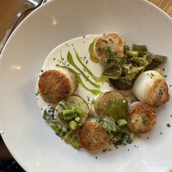 The Blue Hen - Scallops - American Near Me - Rehoboth Beach, Delaware The Blue Hen - Scallops - American Near Me - Rehoboth Beach, Delaware