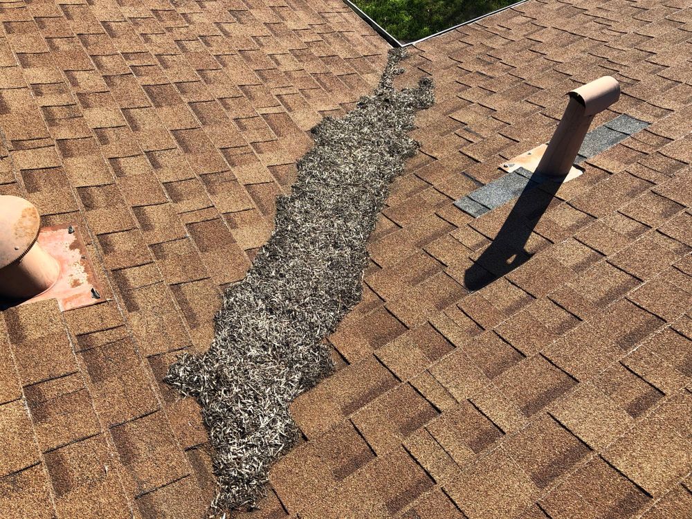 Slide of Roof Doctors