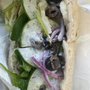 Photo of Subway
