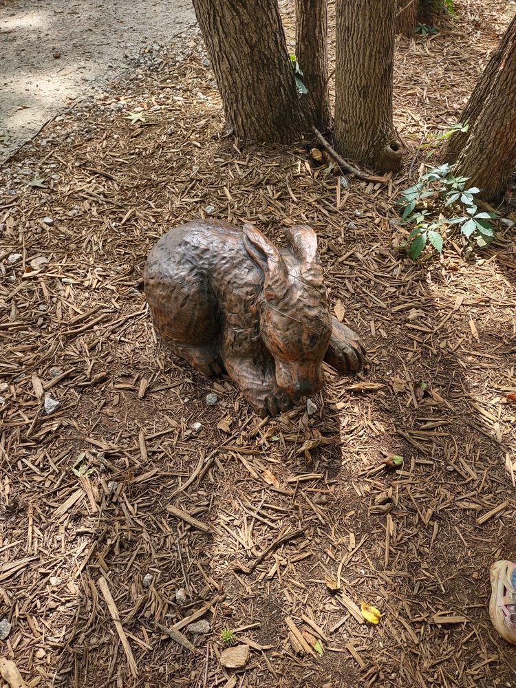 Conestee Nature Playscape Image