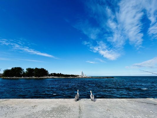 Bal Harbour Beach by null