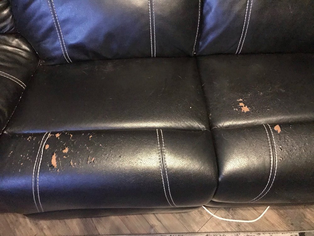 1000 FURNITURE Updated September 2024 89 Photos & 14 Reviews