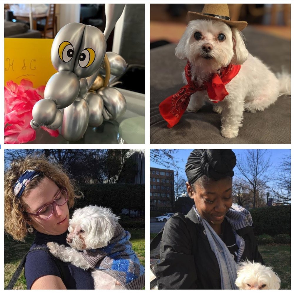 Yappy 2 See You - pet boarding facility in Atlanta, GA