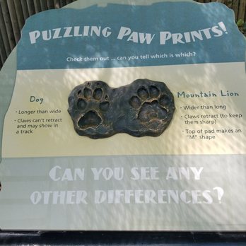 Orange County Zoo - Paws - Zoos Near Me - Orange, California