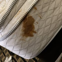 Quality Inn Grand Rapids North - Honestly, this looks like feces