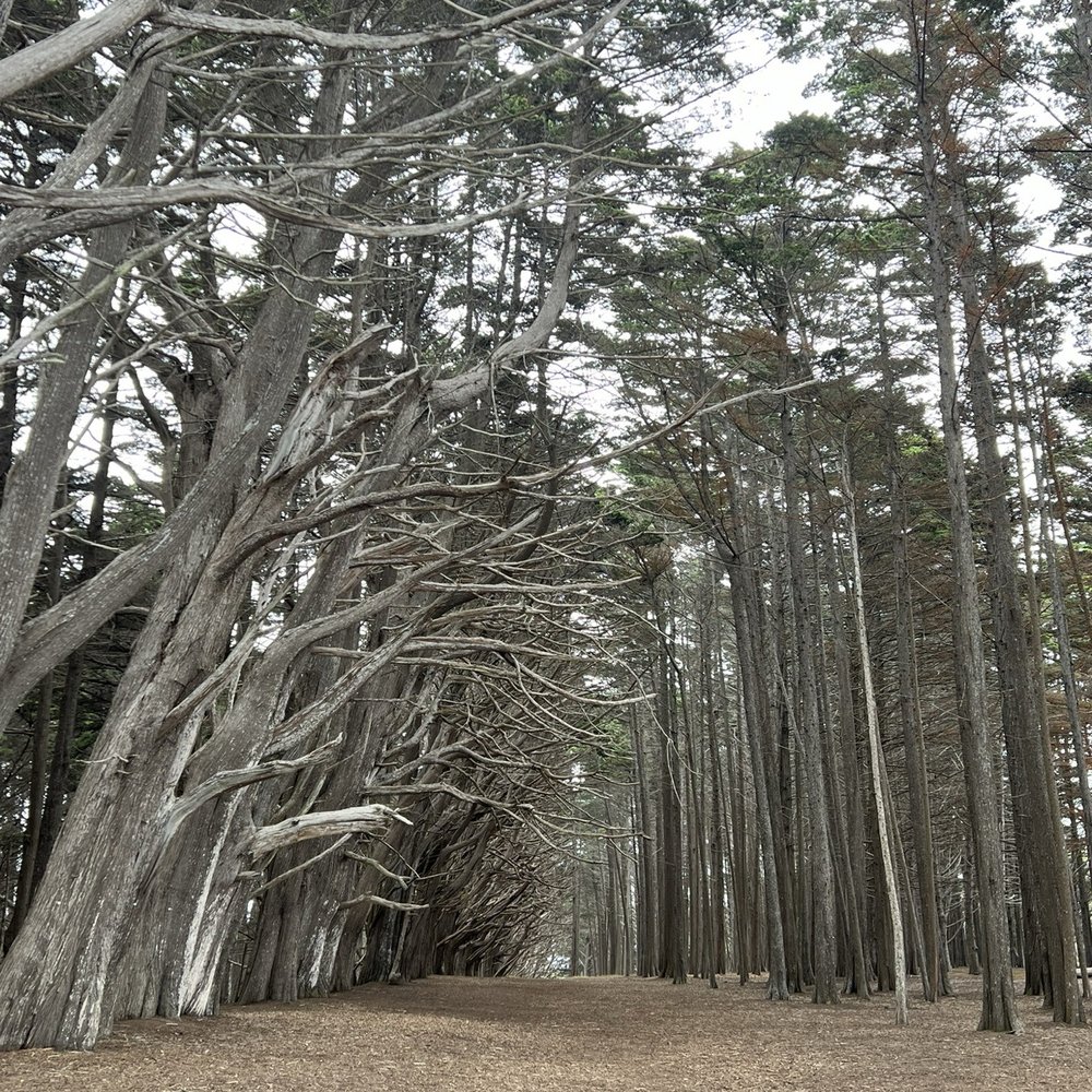 Fitzgerald Marine Reserve - Parks Near Me - Moss Beach, California