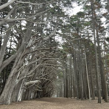 Fitzgerald Marine Reserve - Parks Near Me - Moss Beach, California
