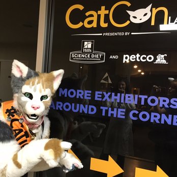CatCon - Dragonsquared CatCon 2016 - Pet Adoption Near Me - Pasadena, California