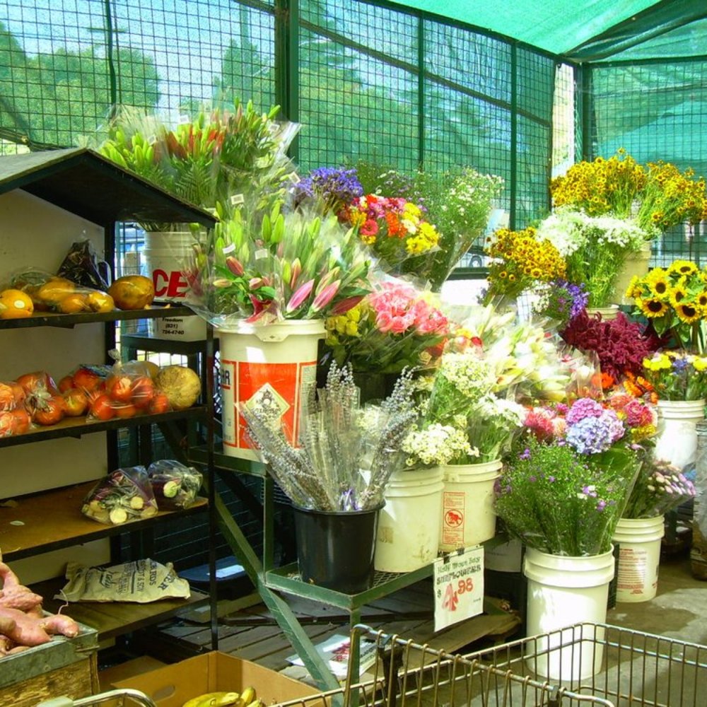 Monterey Market - Fruits & Veggies Near Me - Berkeley, California Monterey Market - Fruits & Veggies Near Me - Berkeley, California