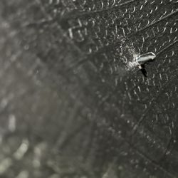 Point S Mt. Shasta - This is the back side of said screw.