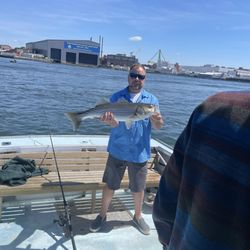 Sea Time Fishing Charters - More if the same