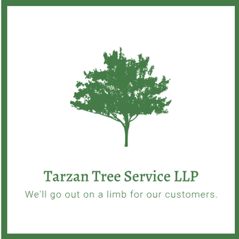 Tarzan Tree Service - call 215 527 1340 - Tree Services Near Me Tarzan Tree Service - call 215 527 1340 - Tree Services Near Me
