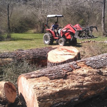 King's Love Works - Tree Services Near Me - Crestview, Florida King's Love Works - Tree Services Near Me - Crestview, Florida