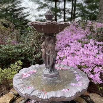 Baxter Gardens - Botanical Gardens Near Me - Knoxville, Tennessee