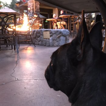 Jackalope's Bar and Grill - Patio - American Near Me - Fish Camp, California Jackalope's Bar and Grill - Patio - American Near Me - Fish Camp, California