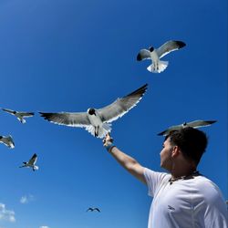 SPI Excursions - Feeding the seagulls