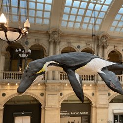 Bristol City Museum & Art Gallery