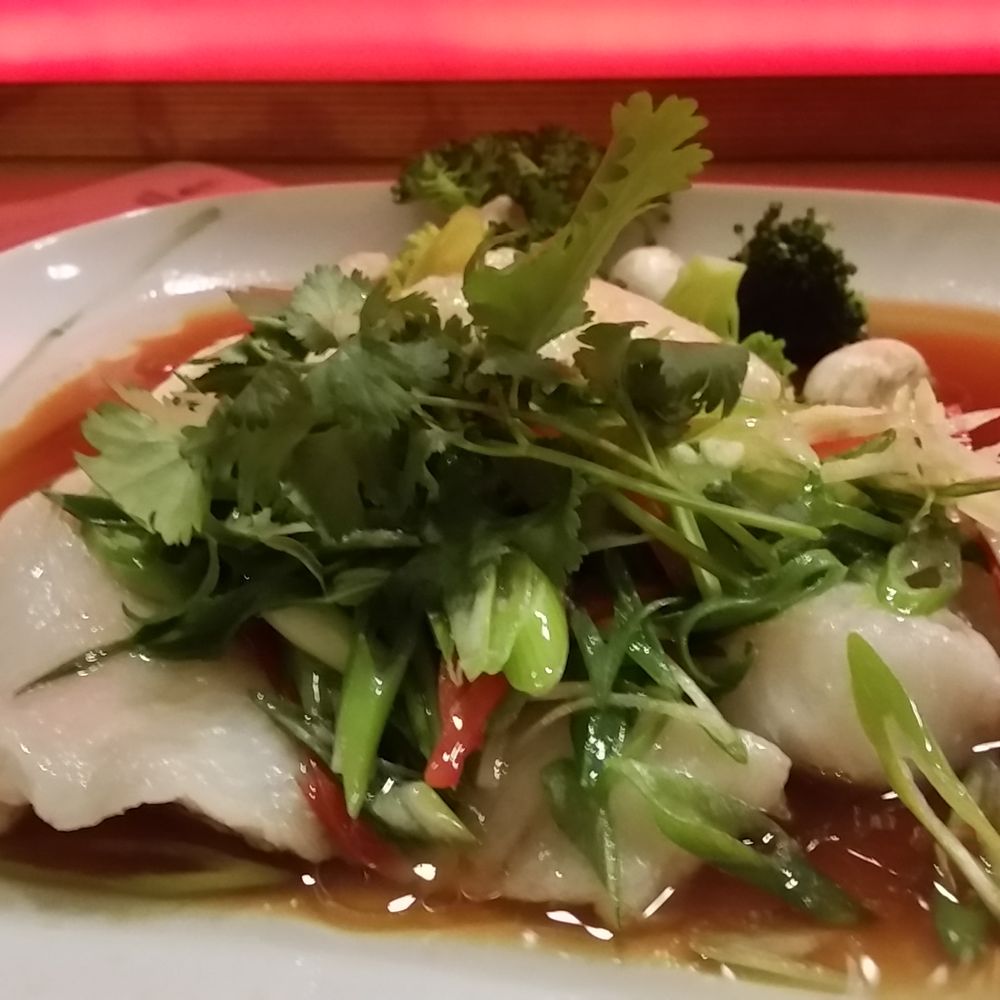Chi Chi Kan - Excellent steamed halibut - Chinese Near Me - Berlin, BE