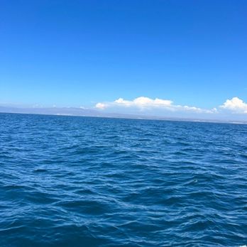 Oceanside Adventures - Out of the water - Boat Charters Near Me - Oceanside, California Oceanside Adventures - Out of the water - Boat Charters Near Me - Oceanside, California