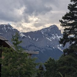 The Grizzly Paw Brewery Taproom