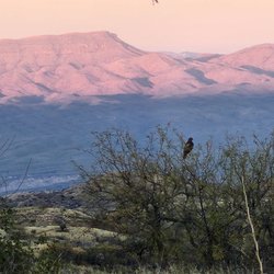 Historic COD Ranch - Views at the C.O.D. Ranch