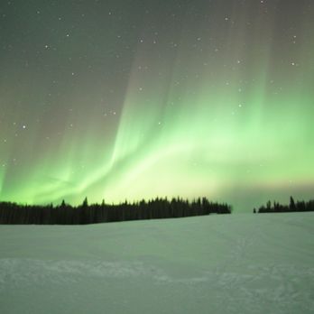 Aurora Pointe Activity Center - Auroras - Tours Near Me - Fairbanks, Alaska Aurora Pointe Activity Center - Auroras - Tours Near Me - Fairbanks, Alaska