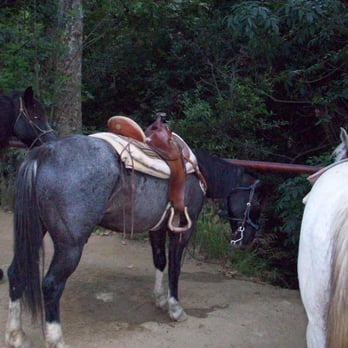Circle Bar B Stables - Healthy horses - Horseback Riding Near Me - Santa Barbara, California Circle Bar B Stables - Healthy horses - Horseback Riding Near Me - Santa Barbara, California