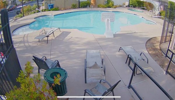 The Management Trust