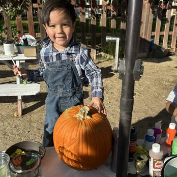 Lees Pony Therapy - Pony up all hallows Eve - Horseback Riding Near Me - Banning, California Lees Pony Therapy - Pony up all hallows Eve - Horseback Riding Near Me - Banning, California