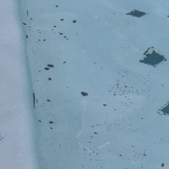 Hotel Solaya - Black algae all over pool - Hotels Near Me - Scottsdale, Arizona