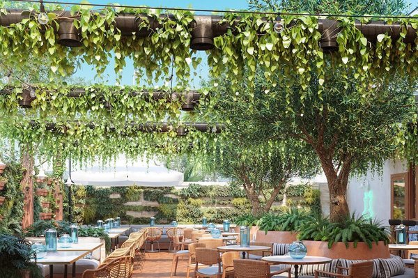 Cannabis Cafe by null