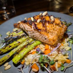 Fifty44 - Salmon