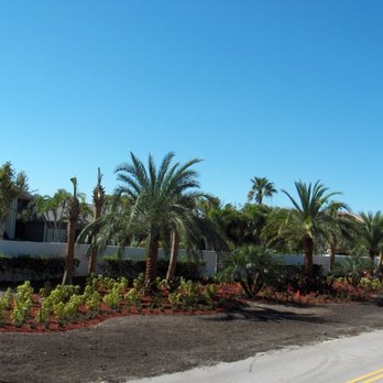 Jupiter Lawn Care - a row of palm trees - Landscaping Near Me Jupiter Lawn Care - a row of palm trees - Landscaping Near Me