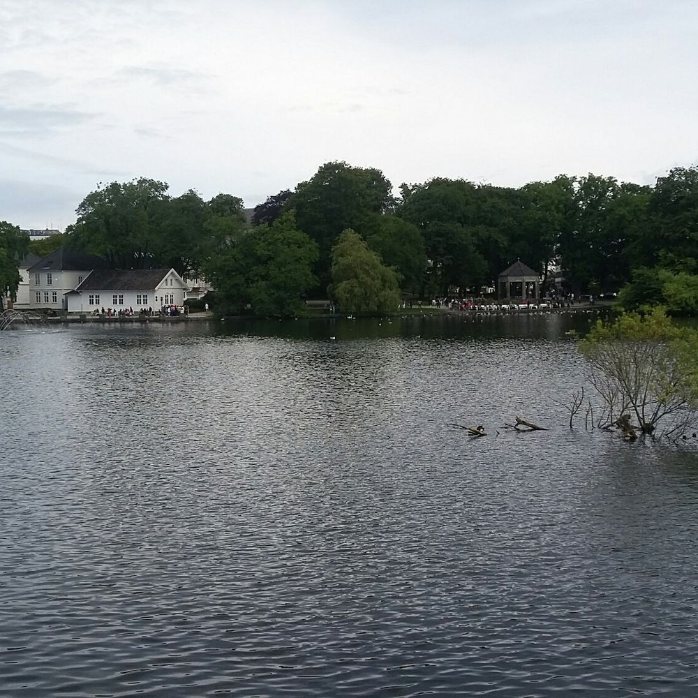 Breiavatnet - Parks Near Me - Stavanger, 11