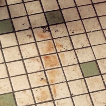 Pok-A-Dot - The floor ... Rustic charm ... In a we never mop kind of way. - American Near Me - Batavia, New York