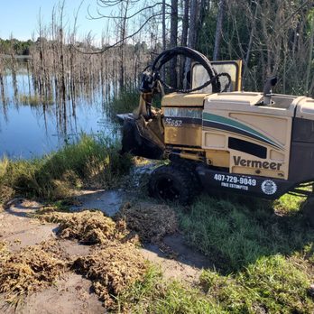 Greene machine stump grinding - Tree Services Near Me Greene machine stump grinding - Tree Services Near Me