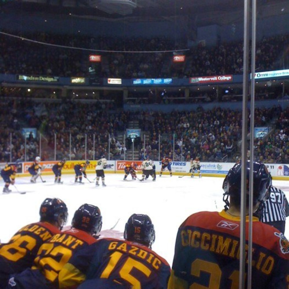 Budweiser Gardens - Ice level, bench seats part 3 :) - Music Venues Near Me - London, Ontario