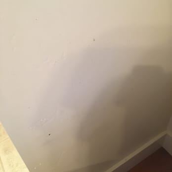 Merry Maids - Wall next to trash can with food particles on it easily removable with a wet paper towel. - Home Cleaning Near Me - San Luis Obispo, California Merry Maids - Wall next to trash can with food particles on it easily removable with a wet paper towel. - Home Cleaning Near Me - San Luis Obispo, California