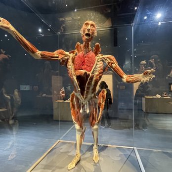 The Tech Interactive - Museums Near Me - San Jose, California