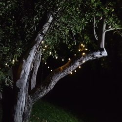 Bauers Canyon Ranch Rv Park - We added solar string lights to add to the already charming campground.