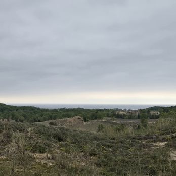 Saugatuck Dune Rides - Lake Michigan overlooking the remains of the city of Singapore long buried below the dunes - Tours Near Me - Saugatuck, Michigan