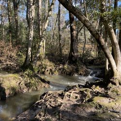 Oscar Johnson Park - Stream
