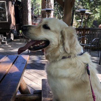 LouEddie's Pizza - Dog friendly back deck area - Pizza Near Me - Skyforest, California LouEddie's Pizza - Dog friendly back deck area - Pizza Near Me - Skyforest, California