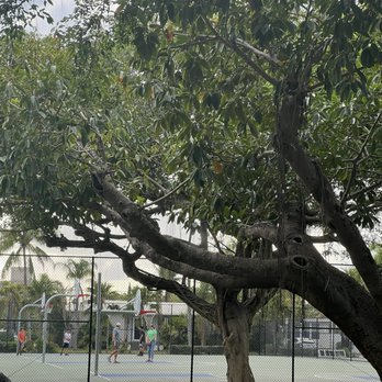 Jefferson Park - Basketball - Parks Near Me - Hollywood, Florida