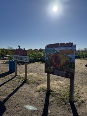 County Line Orchard by null