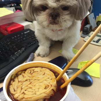 Corner Beef Noodle House - My dog smell the beef noodle soup and want some too! - Taiwanese Near Me - El Monte, California Corner Beef Noodle House - My dog smell the beef noodle soup and want some too! - Taiwanese Near Me - El Monte, California