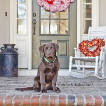 Your Image Matters - Image Consulting - Will you be my Valentine? - Session Photography Near Me Your Image Matters - Image Consulting - Will you be my Valentine? - Session Photography Near Me